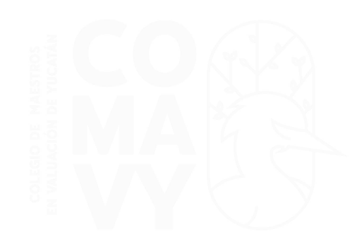 COMAVY